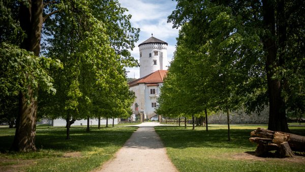 Budatínsky park v Žiline prejde revitalizáciou, zamerajú sa na bezpečnosť a nové zážitky