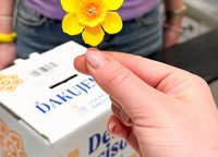 Deň narcisov v Žilinskom kraji - Kde nájdete dobrovoľníkov a ako prispieť