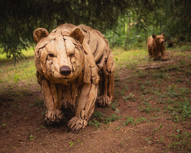 Na Liptove otvorili unikátny prírodný park Woodlandia