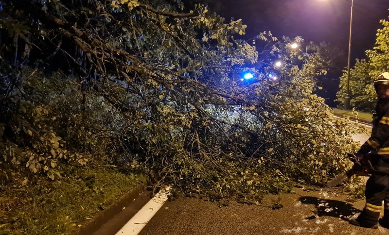 Nočná búrka zamestnala hasičov - Odstraňovali stromy z áut a čerpali vodu