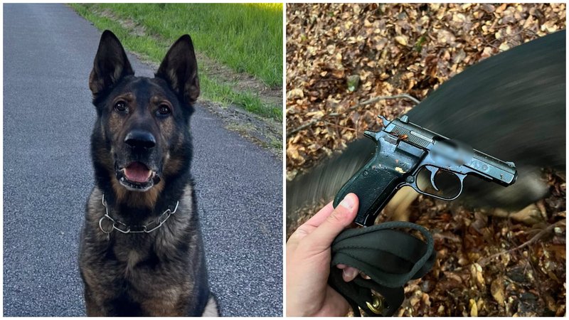 Pri úteku stratil zbraň. Neuveriteľný zvrat priniesol až policajný pes