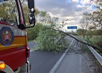 Silný vietor na severe Slovenska -  Stromy padali na autá aj cesty