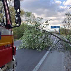 Silný vietor na severe Slovenska -  Stromy padali na autá aj cesty