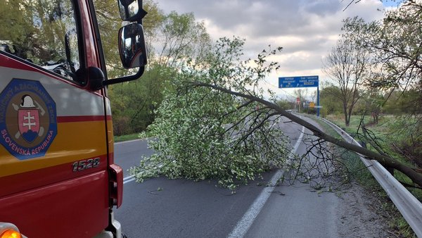 Silný vietor na severe Slovenska -  Stromy padali na autá aj cesty