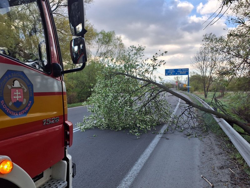 Silný vietor na severe Slovenska -  Stromy padali na autá aj cesty