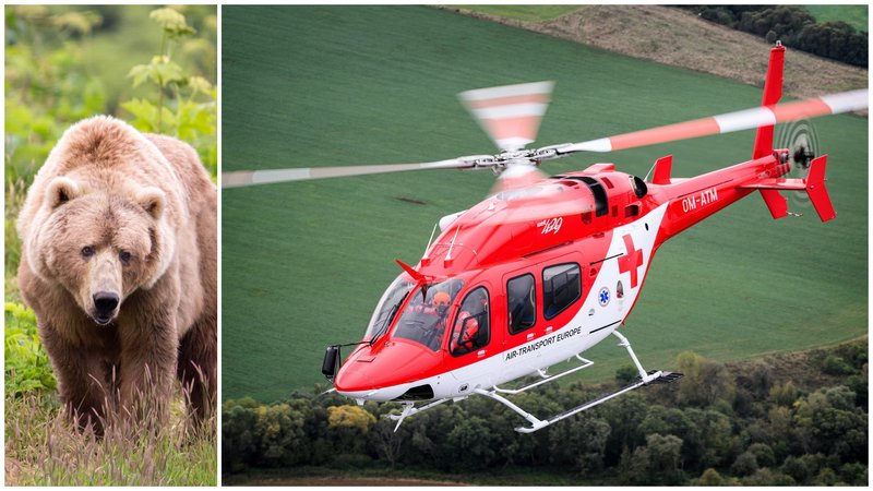 Turisti v Stráňavách pozor - Pod Kojšovským Budzogáňom útočila medvedica