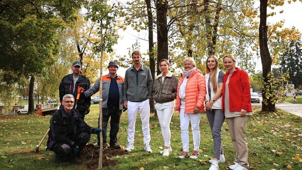 V areáli žilinskej nemocnice vysadili ginko, je symbolom solidarity s pacientmi