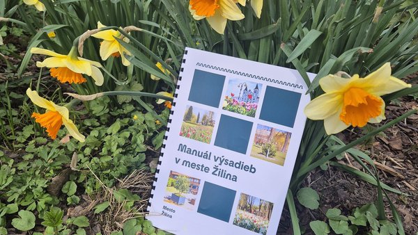 Viac tieňa a menej horúčav - Žilina odhalila plán mestskej výsadby