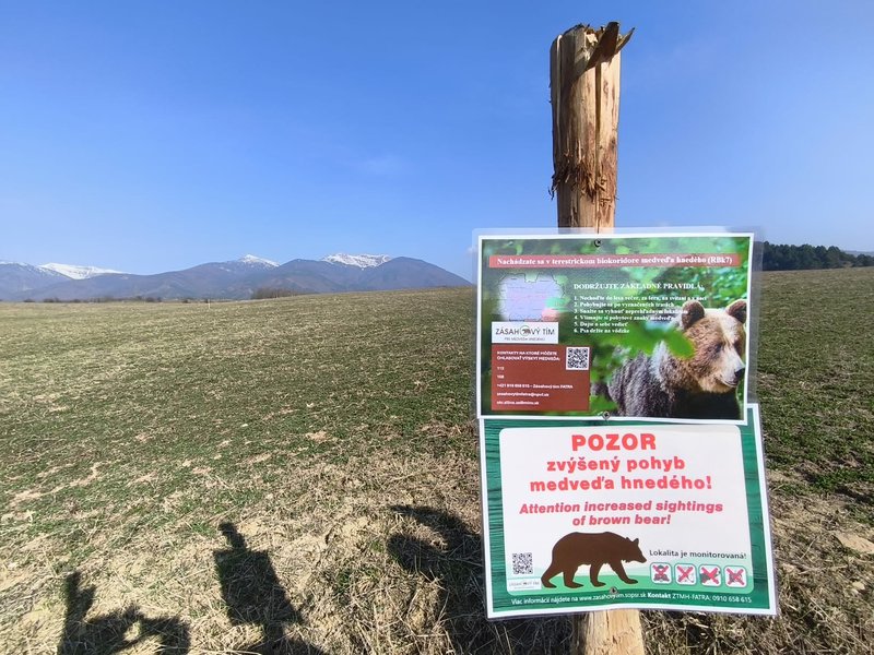 Zásahový tím preznačil kľúčovú trasu medveďov pri Trusalovej