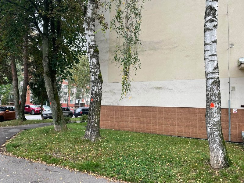 Značky na stromoch na žilinskom sídlisku Vlčince - Obyvatelia sa obávajú výrubu