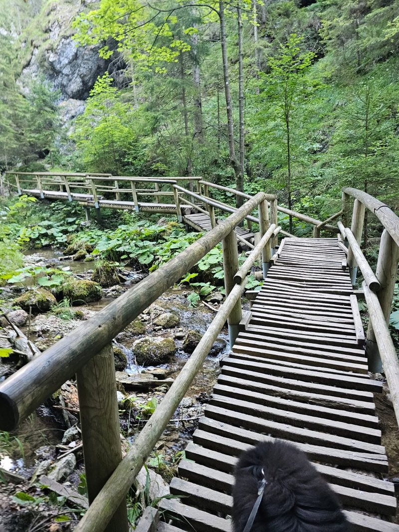 Poškodené mostíky v Jánošíkových dierach opravia - Ktorým trasám sa radšej vyhnúť